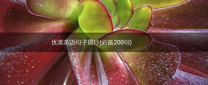 优美英语句子摘抄(必备200句),第1张