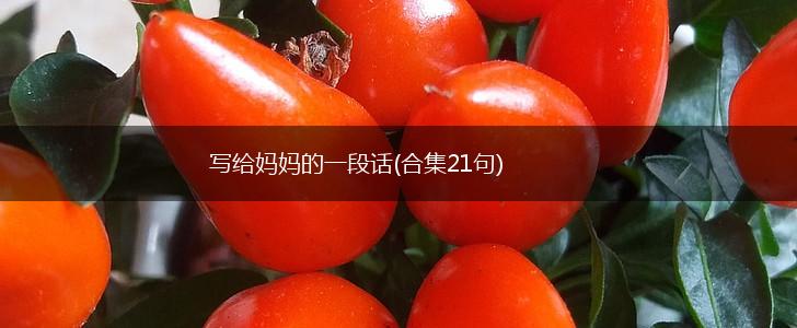 写给妈妈的一段话(合集21句),第1张