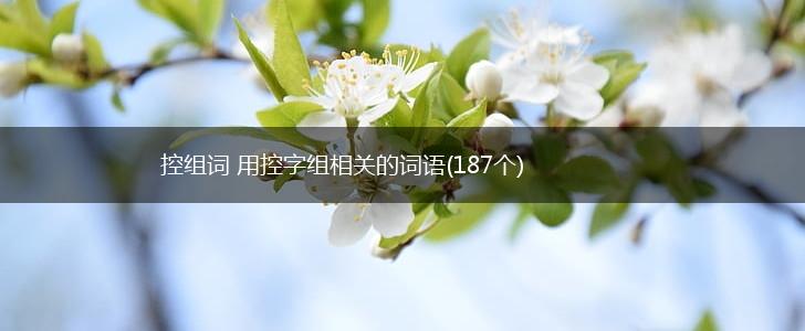 控组词 用控字组相关的词语(187个),第1张