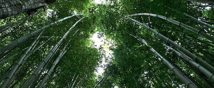 做人要低调(必备162句),第3张