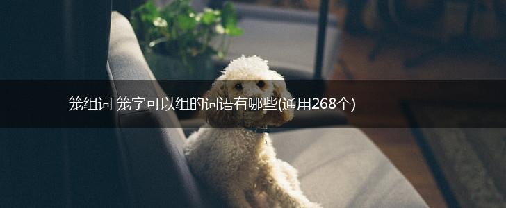 笼组词 笼字可以组的词语有哪些(通用268个),第1张