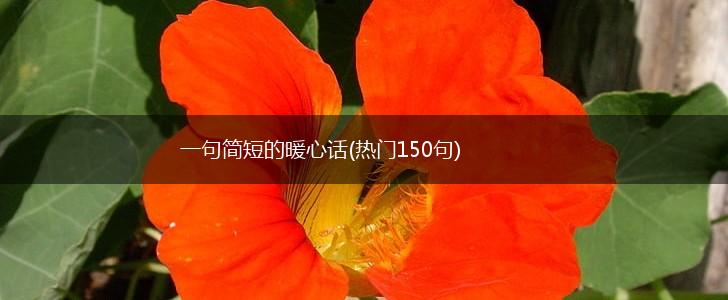 一句简短的暖心话(热门150句),第1张