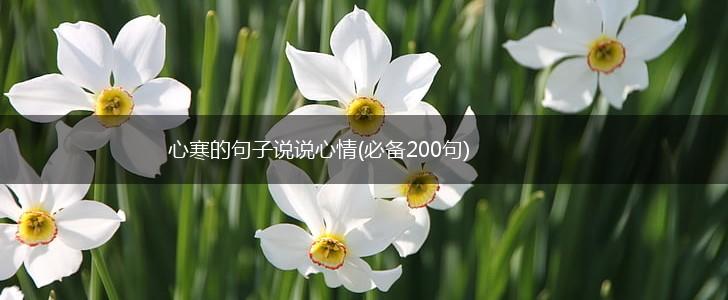 心寒的句子说说心情(必备200句),第1张