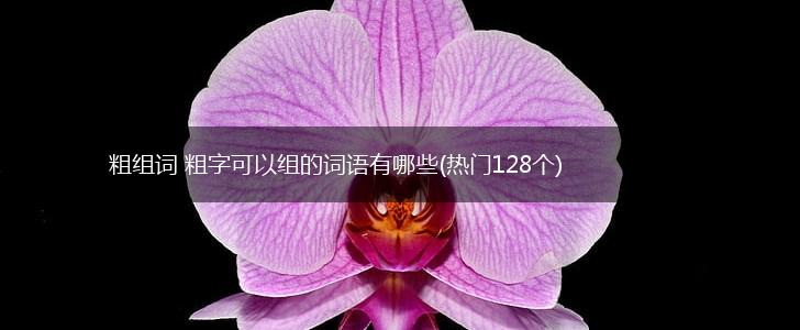 粗组词 粗字可以组的词语有哪些(热门128个),第1张