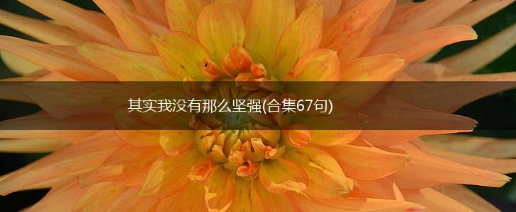 其实我没有那么坚强(合集67句),第1张