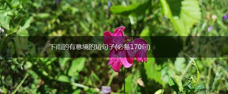 下雨的有意境的短句子(必备170句),第1张