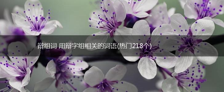 辩组词 用辩字组相关的词语(热门218个),第1张