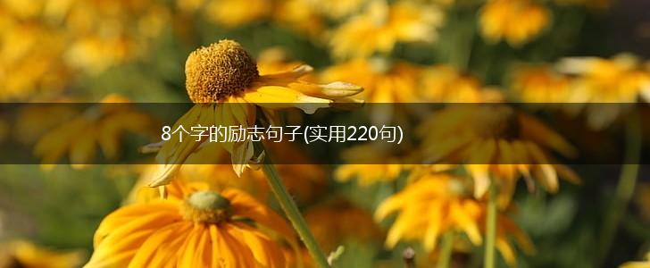8个字的励志句子(实用220句),第1张