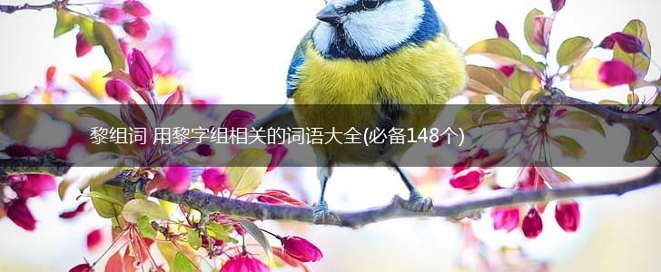 黎组词 用黎字组相关的词语大全(必备148个),第1张