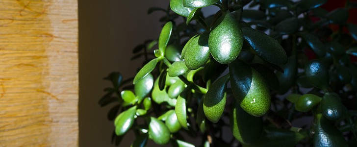 优美英语句子摘抄(必备200句),第3张