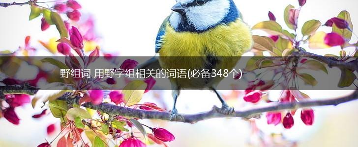 野组词 用野字组相关的词语(必备348个),第1张