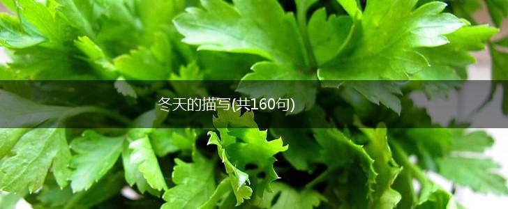 冬天的描写(共160句),第1张