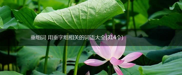 垂组词 用垂字组相关的词语大全(314个),第1张