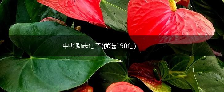 中考励志句子(优选190句),第1张