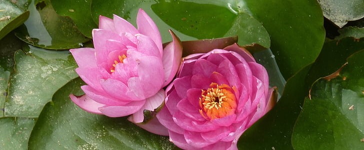 其实我没有那么坚强(合集67句),第2张