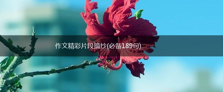 作文精彩片段摘抄(必备189句),第1张