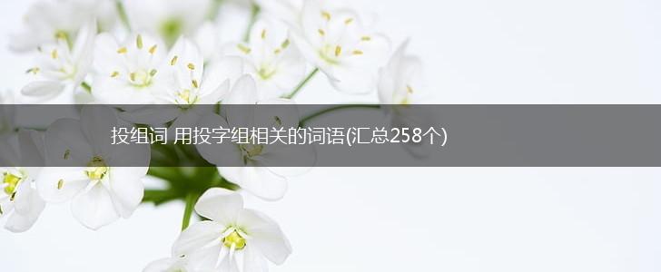 投组词 用投字组相关的词语(汇总258个),第1张
