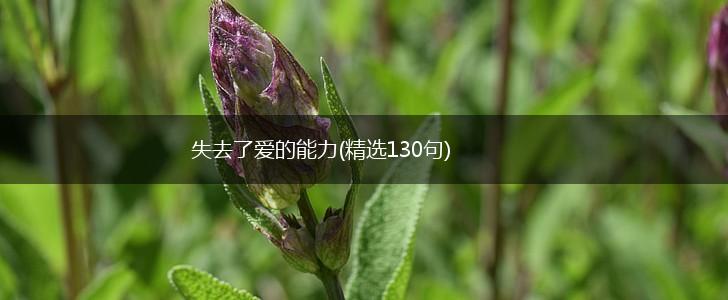 失去了爱的能力(精选130句),第1张