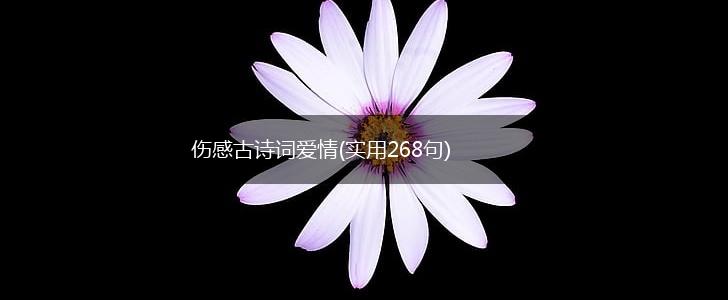 伤感古诗词爱情(实用268句),第1张