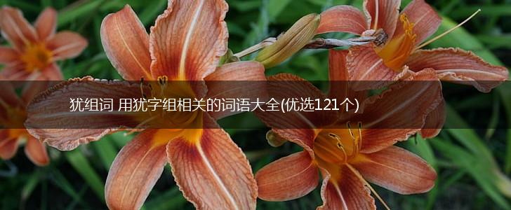 犹组词 用犹字组相关的词语大全(优选121个),第1张