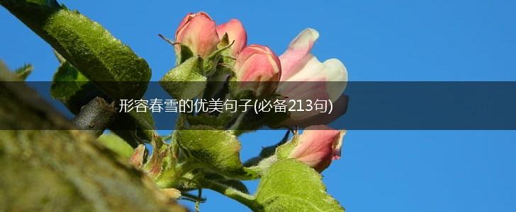 形容春雪的优美句子(必备213句),第1张