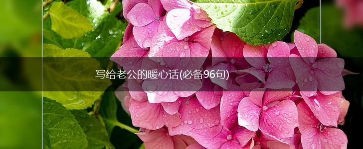 写给老公的暖心话(必备96句),第1张