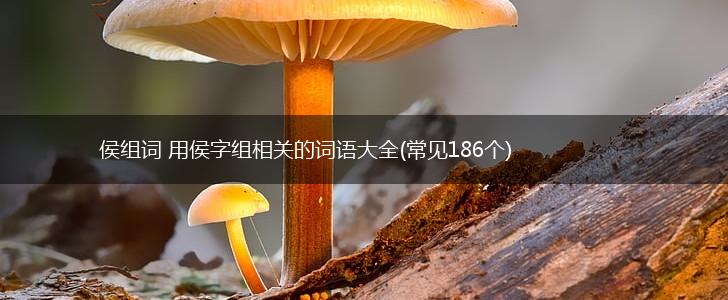 侯组词 用侯字组相关的词语大全(常见186个),第1张