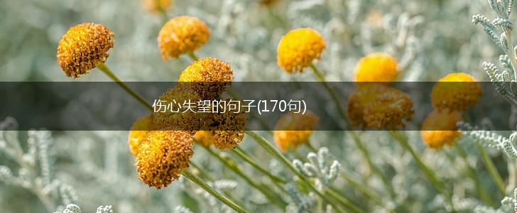 伤心失望的句子(170句),第1张