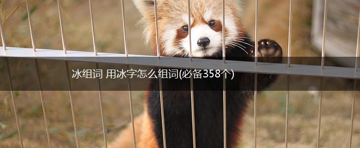 冰组词 用冰字怎么组词(必备358个),第1张