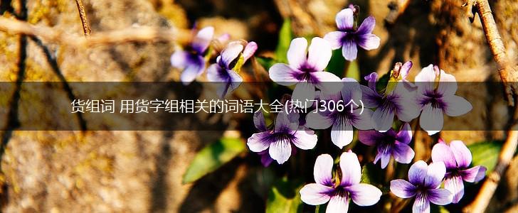 货组词 用货字组相关的词语大全(热门306个),第1张