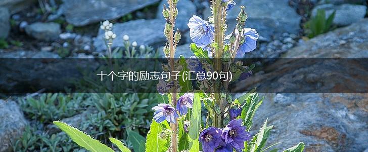 十个字的励志句子(汇总90句),第1张