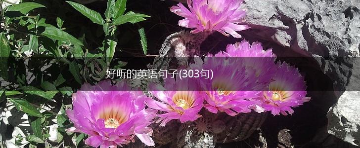 好听的英语句子(303句),第1张