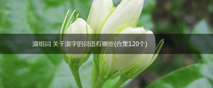 漠组词 关于漠字的词语有哪些(合集120个),第1张