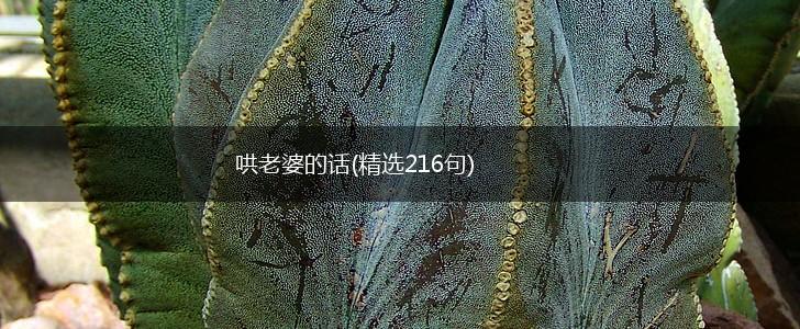 哄老婆的话(精选216句),第1张