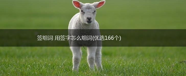 签组词 用签字怎么组词(优选166个),第1张