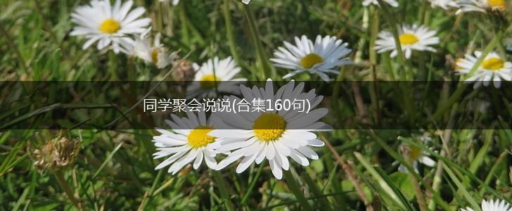 同学聚会说说(合集160句),第1张