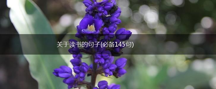 关于读书的句子(必备145句),第1张