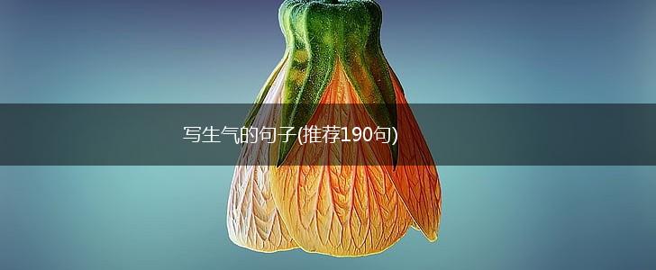 写生气的句子(推荐190句),第1张