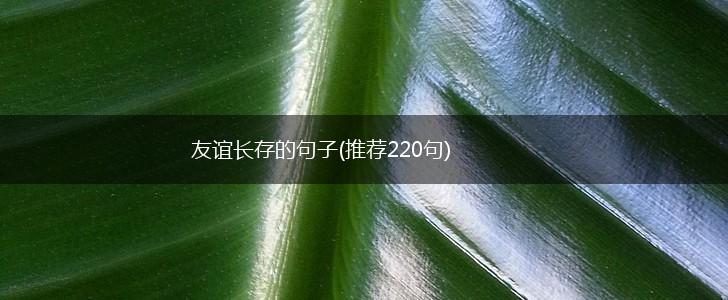 友谊长存的句子(推荐220句),第1张