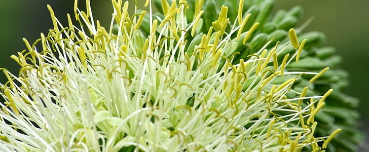 形容害怕的句子(热门140句),第3张