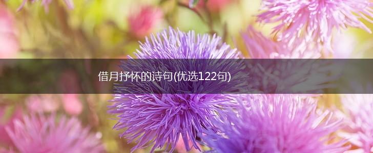 借月抒怀的诗句(优选122句),第1张