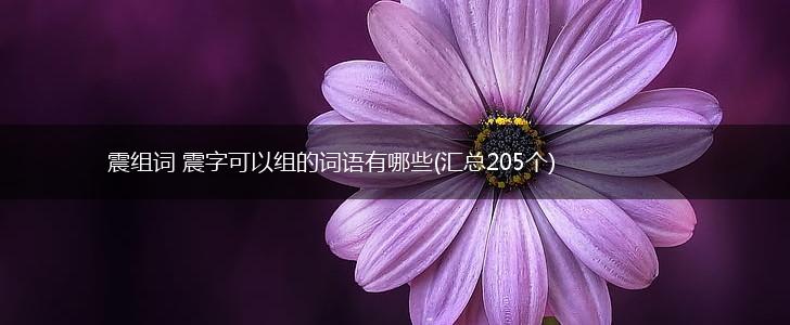 震组词 震字可以组的词语有哪些(汇总205个),第1张