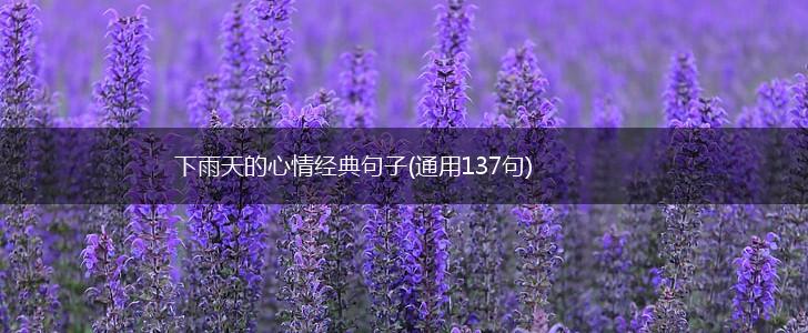 下雨天的心情经典句子(通用137句),第1张