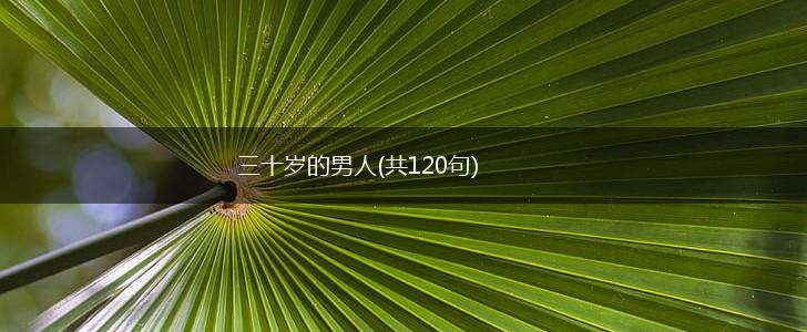 三十岁的男人(共120句),第1张