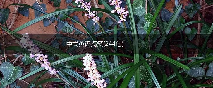 中式英语搞笑(244句),第1张