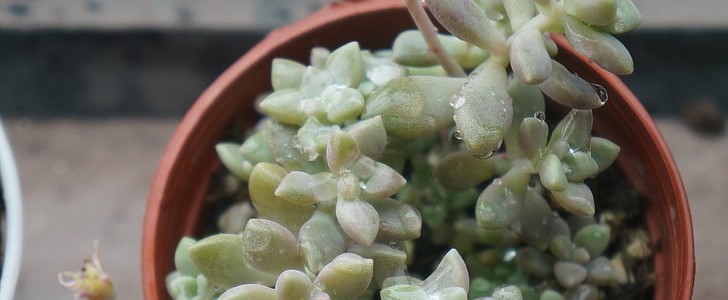 关于中秋节的古诗(优选170句),第2张