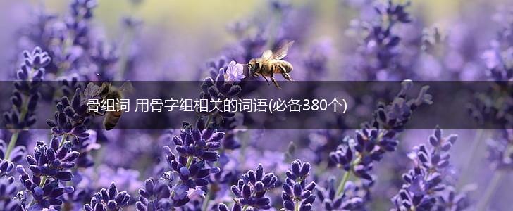 骨组词 用骨字组相关的词语(必备380个),第1张