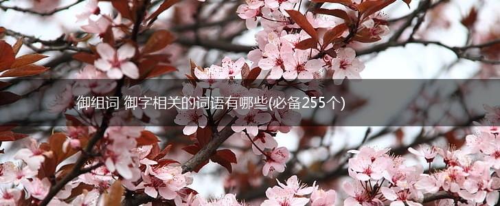 御组词 御字相关的词语有哪些(必备255个),第1张