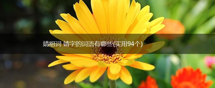靖组词 靖字的词语有哪些(实用94个),第1张