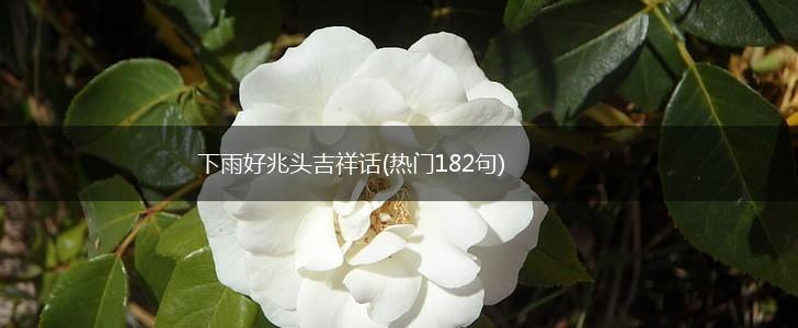 下雨好兆头吉祥话(热门182句),第1张